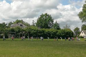 Augu sveikas 11