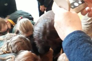 Penktokų krikštynos 15