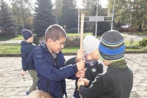 Akcija „Pasodinkime krokų“ 01