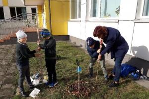 Akcija „Pasodinkime krokų“ 03