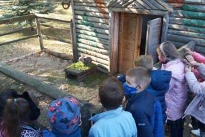 Edukacinė pamoka Gamtos mokykloje 04