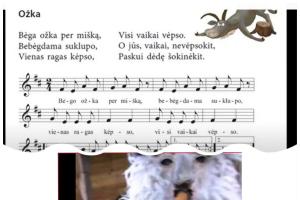 Nuotolinės užgavėnės 01