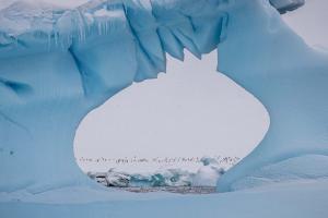 Pažintis su Antarktida 10